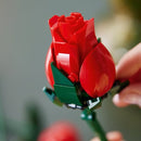 Buquê de Rosas (822 peças)