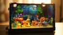 Aquário Tropical: Corais Iluminados (725 peças)