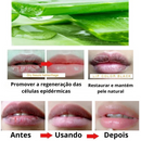 Bálsamo Labial Hidratante Natural de Aloe Vera - Cuidado Duradouro para Lábios Secos