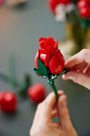 Buquê de Rosas (822 peças)