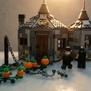 Harry Potter - A Cabana de Hagrid (496 peças)