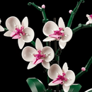 Buquê de Orquídeas em Vaso (608 peças)