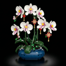 Orquídea Phalaenopsis em Vaso (587 peças)