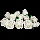 Buquê de Rosas Brancas (496 peças)