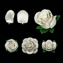 Buquê de Rosas Brancas (496 peças)