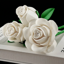 Buquê de Rosas Brancas (496 peças)