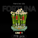 Narciso da Fortuna (778 peças)