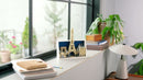 Cidade de Paris (958 peças)
